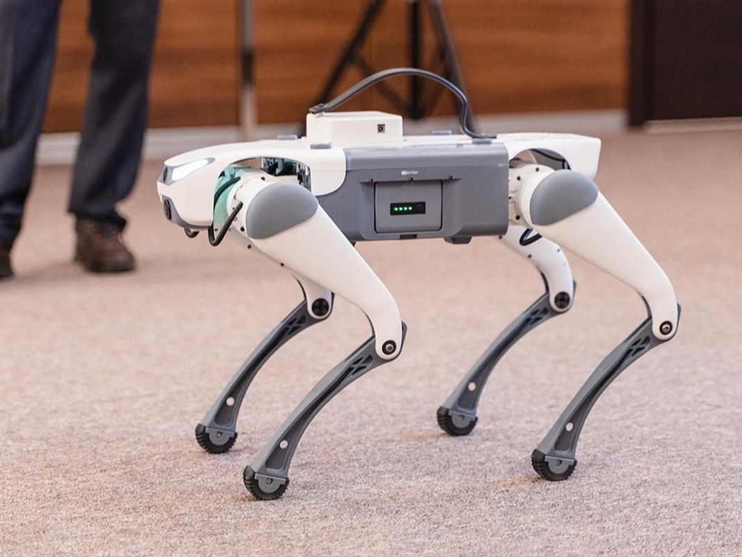 Роботы-собаки и умн…